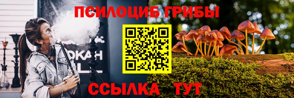Галлюциногенные грибы Magic Shrooms  магазин  наркотиков  Приморско-Ахтарск  Галлюциногенные грибы Psilocybe  Вход с VPN 