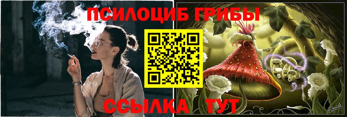 Псилоцибиновые грибы прущие грибы Приморско-Ахтарск